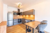 Nový luxusní byt 2+kk s předzahrádkou k pronájmu, Holandská čtvrt Olomouc: klidná lokalita a moderní vybavení, cena 17000 CZK / objekt / měsíc, nabízí