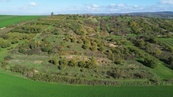 Prodej sady a vinice, 6 601 m2 - Hrušovany u Brna, cena 1390000 CZK / objekt, nabízí