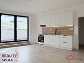 Pronájem, byty/1+kk, 33.02 m2, Rolnická 151/62, Kateřinky, 74705 Opava (nečleněná část města) [ID 71, cena 13000 CZK / objekt / měsíc, nabízí