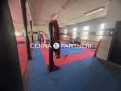 Pronájem zavedeného fitness, cena 14000 CZK / objekt / měsíc, nabízí
