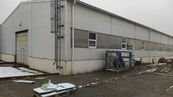 Pěkná výrobní hala 1.000 m2 s mostovým jeřábem 5.000 kg, cena 100000 CZK / objekt / měsíc, nabízí