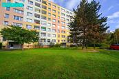 Pronájem velmi hezkého a útulného bytu o dispozici 1+1 na ulici Trnkova v Olomouci., cena 11900 CZK / objekt / měsíc, nabízí