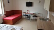 Pronájem apartmánu na Jiráskově nábřeží, cena 8000 CZK / objekt / měsíc, nabízí 