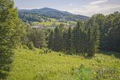 Prodej lesního a zemědělského pozemku Lipová - lázně 12 392 m2, cena 1590000 CZK / objekt, nabízí