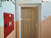 Pronájem, Byt 2+1, Ostrov, cena 8000 CZK / objekt / měsíc, nabízí