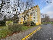 Pronájem bytu 1kk, ul. Tylova, Horní Litvínov, Litvínov, 27 m2, cena 7100 CZK / objekt / měsíc, nabízí