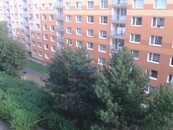 Pronájem bytu 1+1 v Ústí nad Labem, Severní Terasa, Kmochova ulice, cena 8000 CZK / objekt / měsíc, nabízí