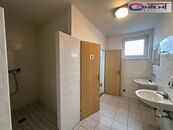 Pronájem skladu, výrobních prostor 496 m, Praha-západ, Hostivice, dálnice D6, cena 202 CZK / m2 / měsíc, nabízí 