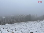 Prodej, les, 8638 m2, Železný Brod, cena cena v RK, nabízí 