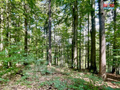 Prodej lesa, 5370 m2, Horní Heřmanice, cena 295000 CZK / objekt, nabízí 