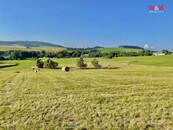 Prodej louky, 18479 m2, Horní Heřmanice, cena 640000 CZK / objekt, nabízí 