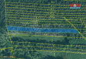 Prodej lesa, 3971 m2, Bechyně - Hvožďany, cena 60000 CZK / objekt, nabízí 