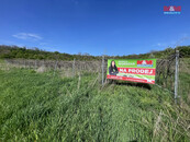 Prodej vinice, 9215 m2, Sedlec, cena 780000 CZK / objekt, nabízí