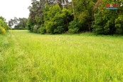 Prodej pozemku k bydlení, 10664 m2, Vlašim, cena 8400000 CZK / objekt, nabízí