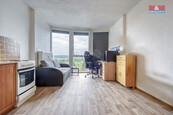 Pronájem bytu 1+kk, 25 m2, Plzeň, ul. Klatovská, cena 8000 CZK / objekt / měsíc, nabízí