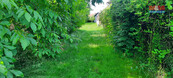 Prodej zahrady, 1622 m2, Loučany, cena 1166400 CZK / objekt, nabízí