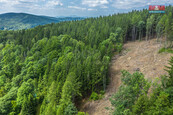 Prodej lesa, 6696 m2, Tanvald, cena 776600 CZK / objekt, nabízí