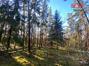 Prodej lesa, 2484 m2, Všehrdy, cena 49000 CZK / objekt, nabízí
