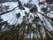 Prodej lesa, 2084 m2, Slavičky, cena 45000 CZK / objekt, nabízí