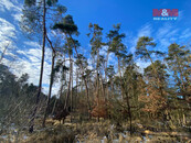 Prodej lesa, 3720 m2, Všehrdy, cena 71000 CZK / objekt, nabízí