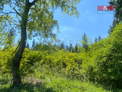 Prodej lesa, 15167 m2, Kropáčova Vrutice, cena 259000 CZK / objekt, nabízí