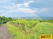 Němčičky - vinice, sady, les, orná půda 34. 673 m2 pozemek