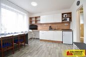 Brno - Pisárky, ul. Hroznová, pronájem bytu 1+kk, 23m2, zařízený - byt, cena 13000 CZK / objekt / měsíc, nabízí 