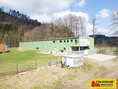 Nedvědice, pronájem výrobního areálu, 19 015 m2, hala, kanceláře, sociální zařízení komerce, cena 50000 CZK / objekt / měsíc, nabízí