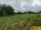 Sebranice - zahrada, 2000 m2, příjezdová asfaltová komunikace, oplocení - pozemek, cena 2123 CZK / m2, nabízí