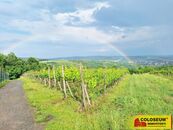 Němčičky - vinice, sady, les, orná půda 34 673 m2 pozemek, cena 2065880 CZK / objekt, nabízí