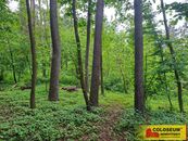 Rozstání, lesní pozemky, 6 165 m2 pozemek, cena 216000 CZK / objekt, nabízí
