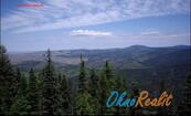 Prodej lesních pozemků v k.ú. Oseček, okr. Nymburk, cena cena v RK, nabízí