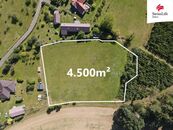 Prodej stavebního pozemku 4500 m2, Načešice, cena 888 CZK / m2, nabízí 