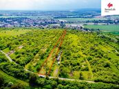 Prodej sadu, vinice 3876 m2, Židlochovice, cena 1190000 CZK / objekt, nabízí