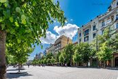 Pronájem luxusního prostoru 168 m2 Václavské náměstí, cena 68000 CZK / objekt / měsíc, nabízí Faraon Reality, s.r.o.