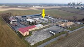 Pronájem výrobních a skladových hal Kojetín, cena 1000 CZK / m2 / rok, nabízí