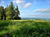 Pozemek k rekreaci 10451 m2 - Vlastiboř u Železného Brodu, cena 2000000 CZK / objekt, nabízí