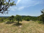 Prodej, Chata, pozemek 3461 m2 Dolní Kounice, cena 1500000 CZK / objekt, nabízí