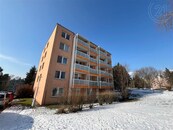 Prodej bytu 1+kk, ul. Foerstrova, Brno - Žabovřesky, cena 3870000 CZK / objekt, nabízí 