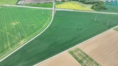 Prodej orné půdy 23 999 m2, Sentice - výjimečná bonitní půda kousek od Tišnova, cena 1599000 CZK / objekt, nabízí
