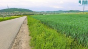 Prodej orné půdy 23 999 m2, Sentice (u Tišnova), cena 1599000 CZK / objekt, nabízí
