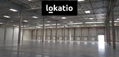 Pronájem - sklady, haly, logistický areál - Brno letiště 9.217 m2, cena cena v RK, nabízí reLokatio s.r.o.
