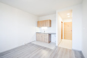 Pronájem bytu 1+kk, Opálkova, Brno - Bystrc, cena 13400 CZK / objekt / měsíc, nabízí