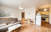 Pronájem bytu 1+kk, Hornoměcholupská, Horní Měcholupy, 16500 Kč/měs, 31 m2, cena 16500 CZK / objekt / měsíc, nabízí Ideální nájemce