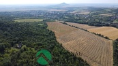 Prodej sady a vinice, 4 280 m2 - Třebenice, cena 1299000 CZK / objekt, nabízí 