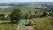 Prodej pozemku s vinicí CP 942 m2, Viničné Šumice, cena 590000 CZK / objekt, nabízí