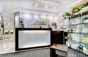 Prodej, Prostory a objekty pro obchod a služby, Praha 3, cena 8808550 CZK / objekt, nabízí