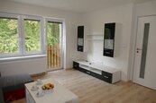 Pronájem, Byt 2+kk, Brno, cena 14000 CZK / objekt / měsíc, nabízí