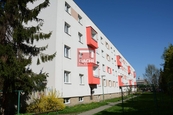 Pronájem, Pokoj, Olomouc, cena 5900 CZK / objekt / měsíc, nabízí