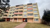Pěkný panelový byt 2+1 Pelhřimov, cena 3299000 CZK / objekt, nabízí
